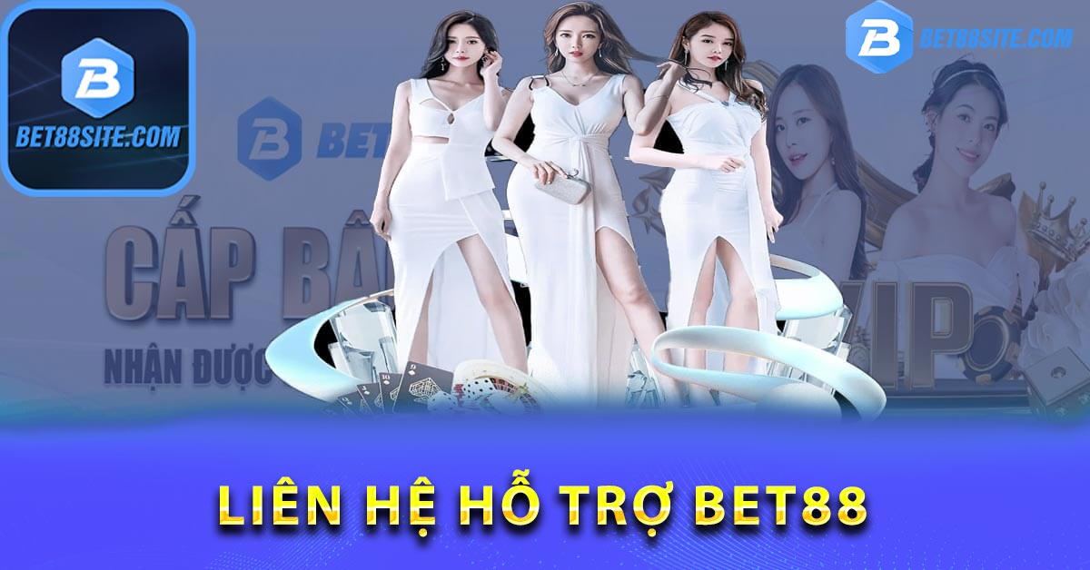 Tích cực và đáng tự hào hỗ trợ liên hệ BET88